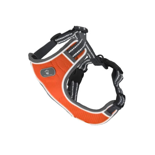 Шлея анатомічна світловідбивна AnimAll HL-8005-1 для собак, колір помаранчевий, M 38-64 см